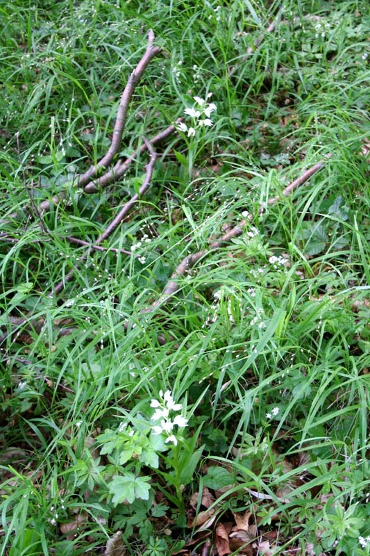 Killikus&reg; Fotographie